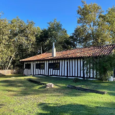 Holiday home Airial Cazalas Argelouse